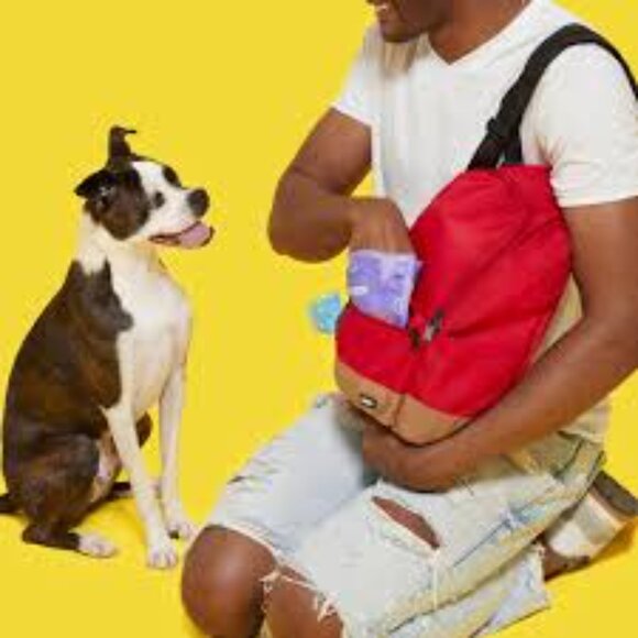 NWT Bark Back to School Backpack - Picture 4 of 6